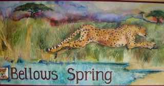 Bellows Spring Cheetah